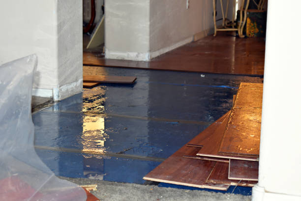 Professional Basement Flooding technician working in Andrews, NC